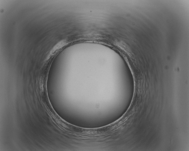 X0000082721451200702091800