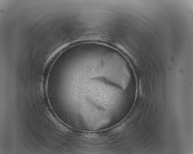 X0000082721452200702091800