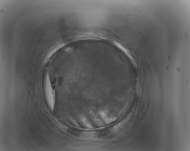 X0000082721453200702091800