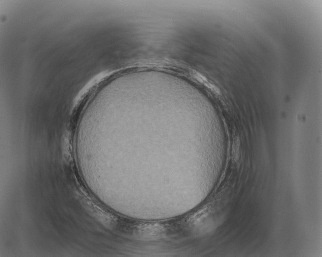 X0000082721454200702091800