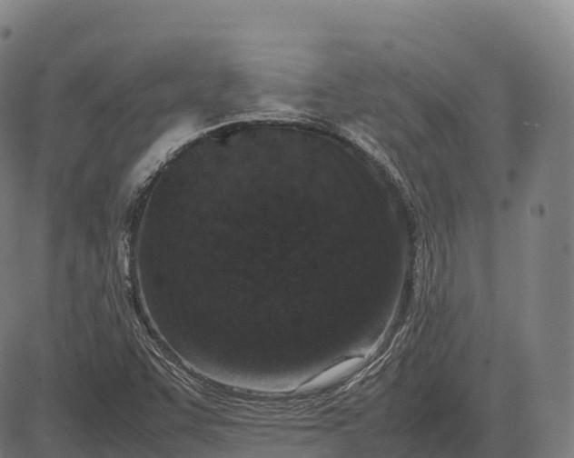 X0000082721455200702091800