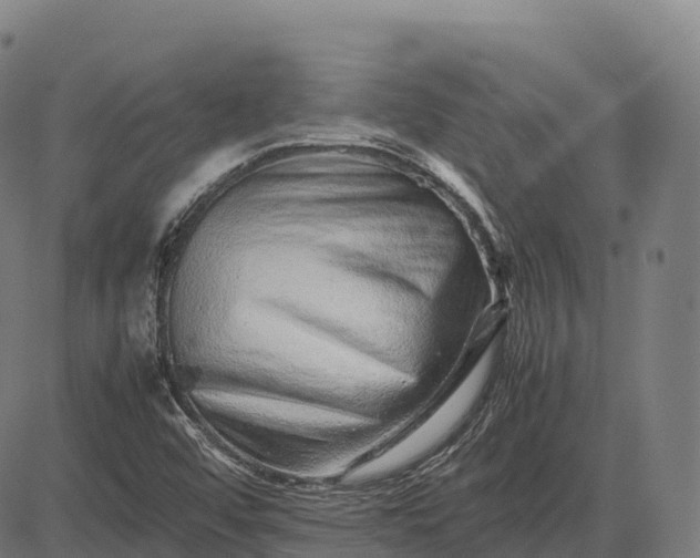 X0000082721456200702091800