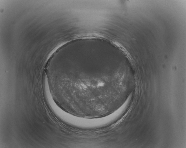 X0000082721457200702091800