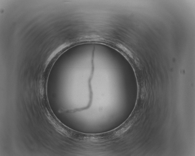 X0000082721458200702091800