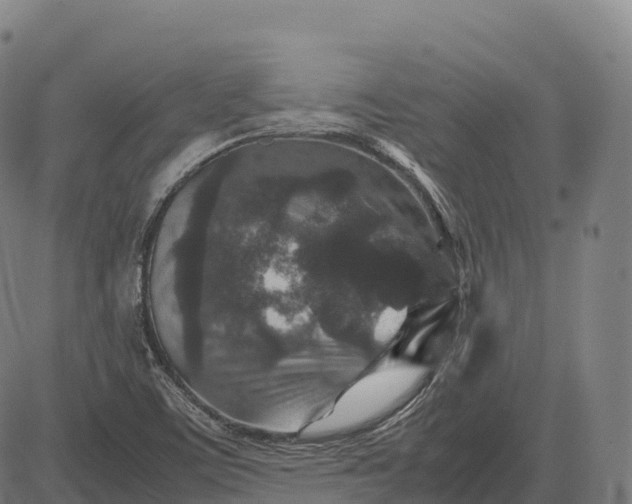 X0000082721459200702091800