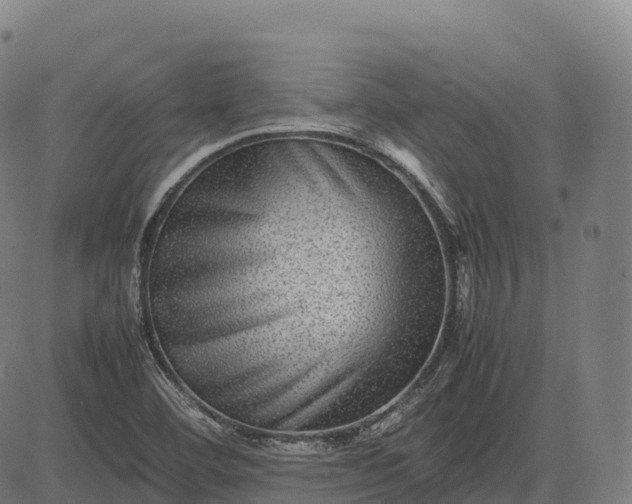 X0000082721460200702091800