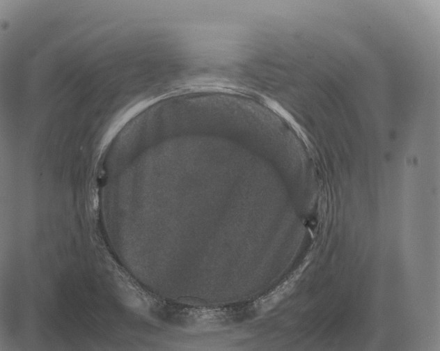 X0000082721461200702091800