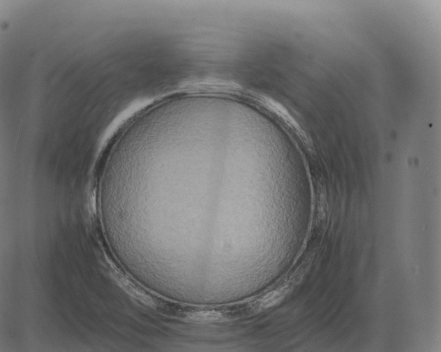 X0000082721462200702091800