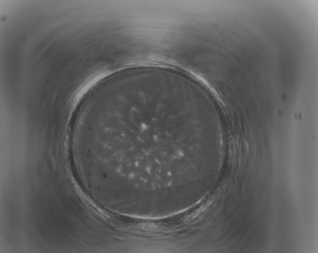 X0000082721463200702091800