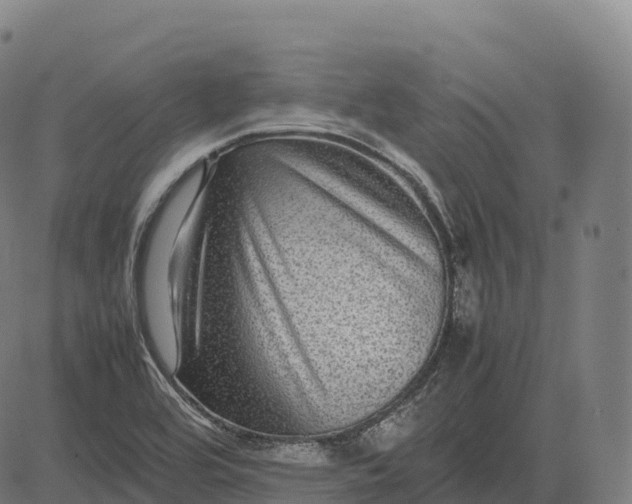 X0000082721464200702091800