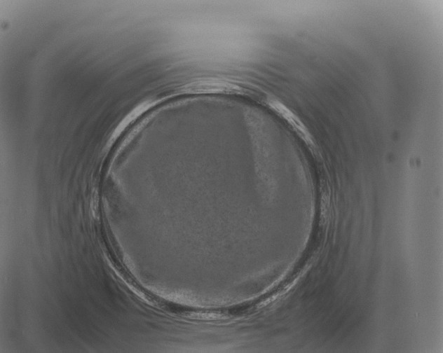 X0000082721465200702091800