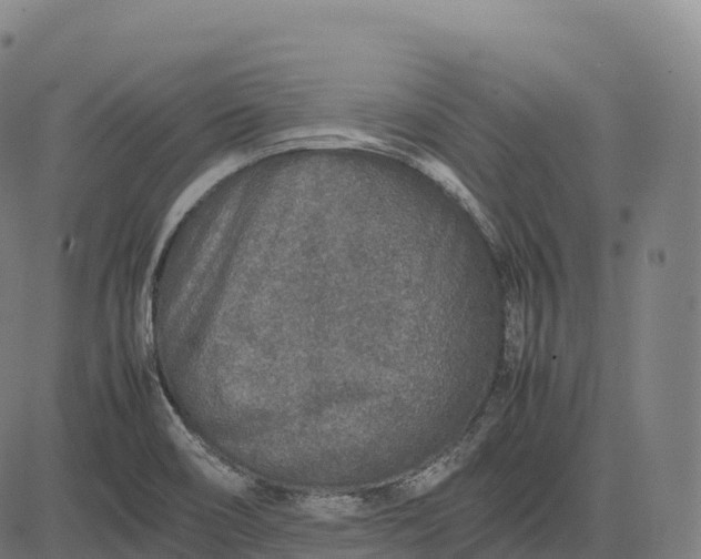 X0000082721466200702091800