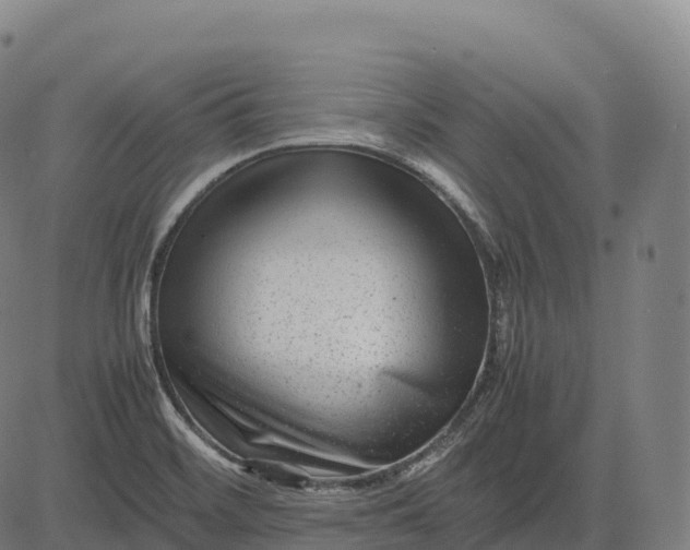 X0000082721468200702091800