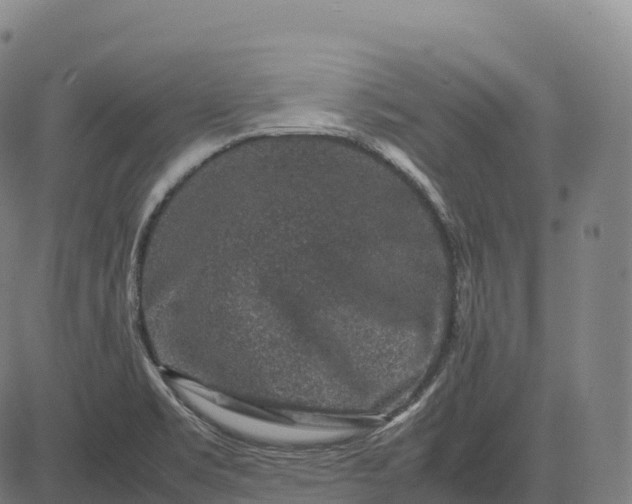 X0000082721469200702091800