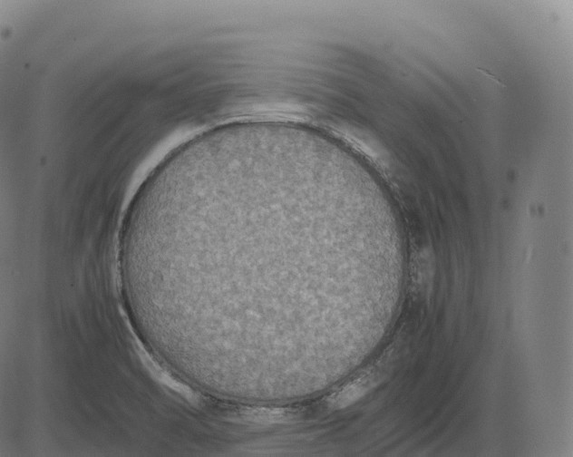 X0000082721470200702091800