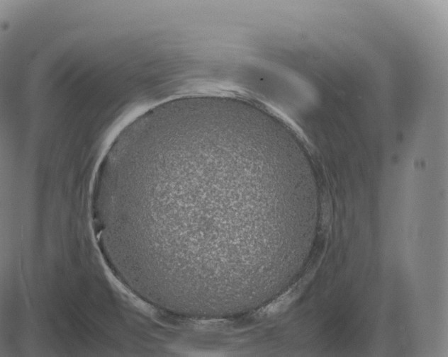 X0000082721471200702091800