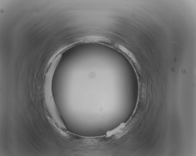 X0000082721473200702091800