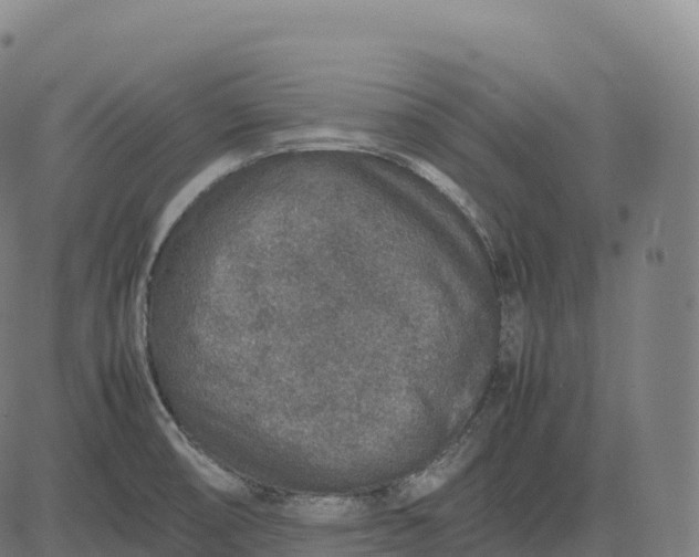 X0000082721474200702091800