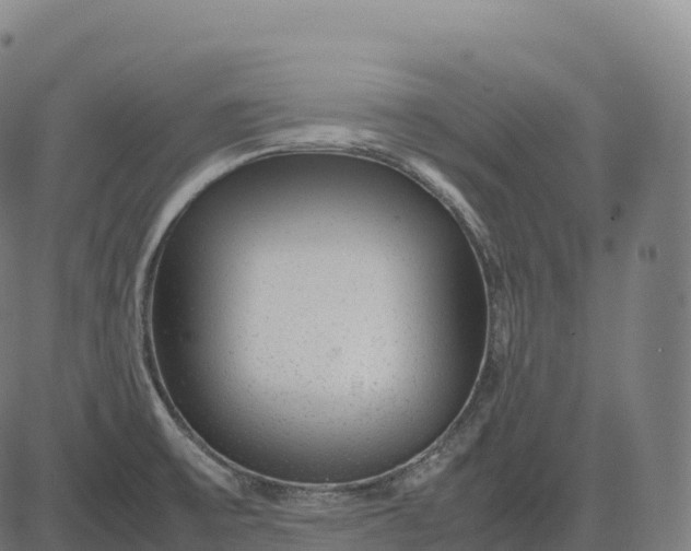 X0000082721475200702091800