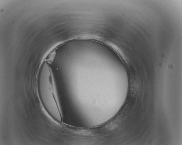 X0000082721476200702091800