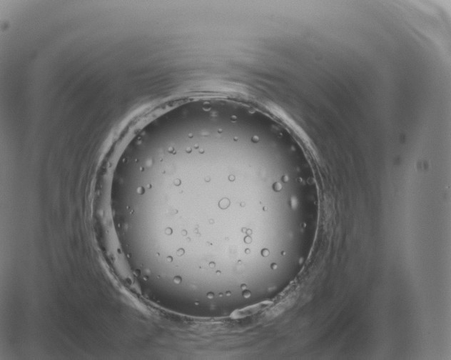 X0000082721477200702091800