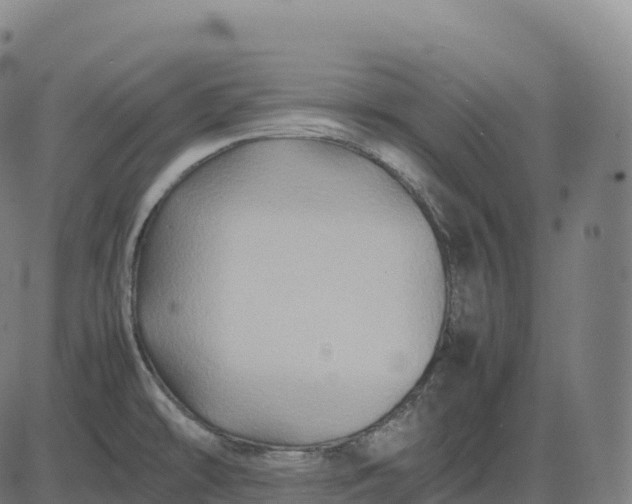 X0000082721478200702091800