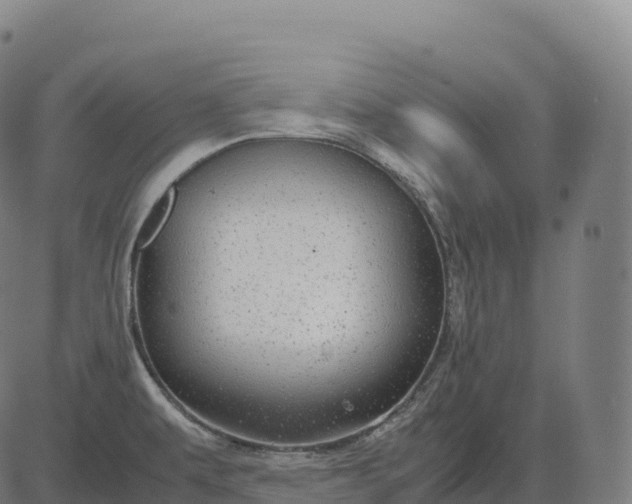 X0000082721479200702091800