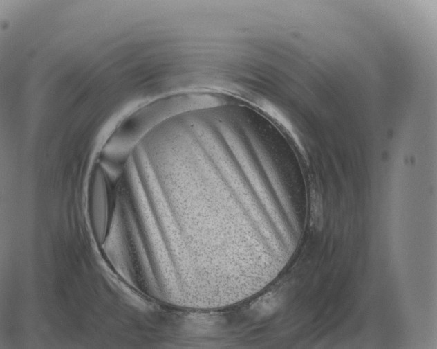 X0000082721480200702091800