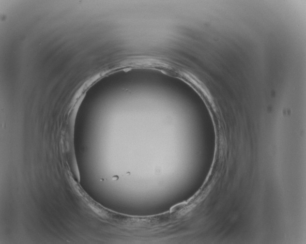 X0000082721481200702091800