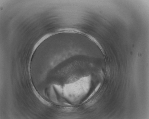 X0000082721482200702091800