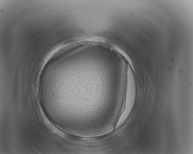 X0000082721483200702091800