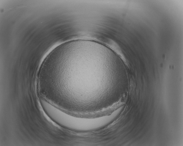 X0000082721484200702091800