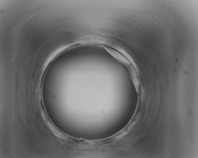 X0000082721485200702091800