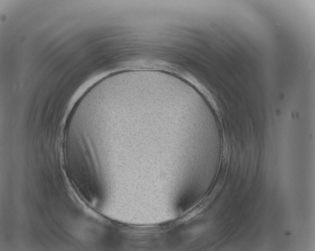 X0000082721486200702091800