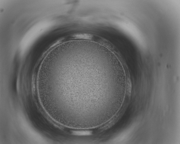 X0000082721487200702091800