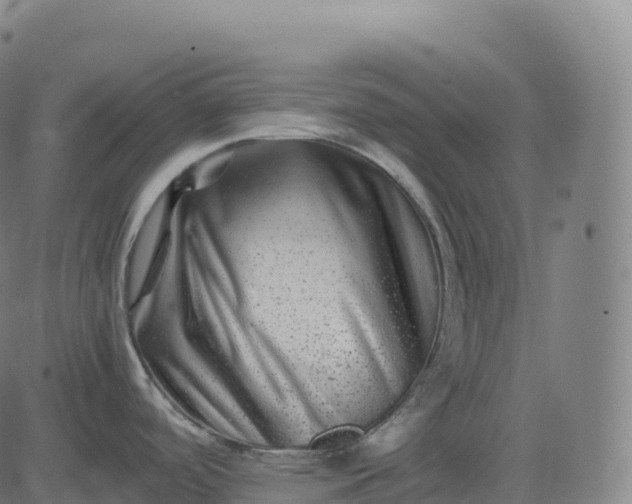 X0000082721488200702091800