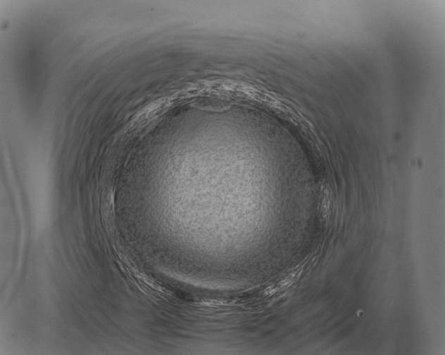 X0000082721489200702091759