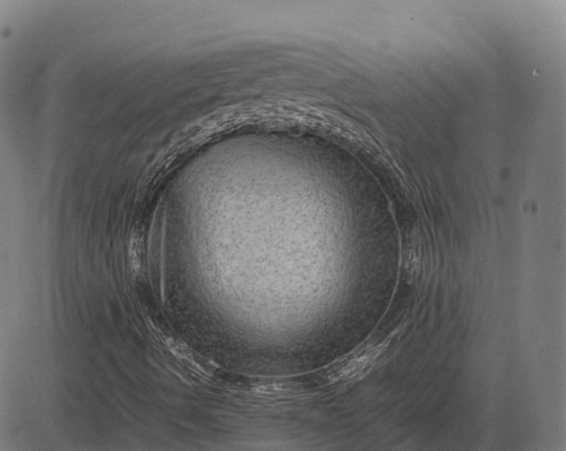 X0000082721490200702091759