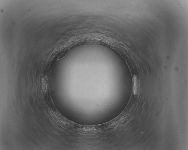 X0000082721491200702091759