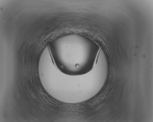 X0000082721492200702091759