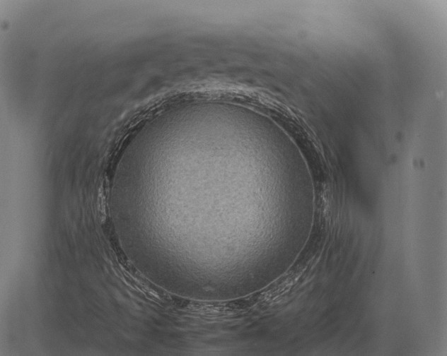 X0000082721493200702091759