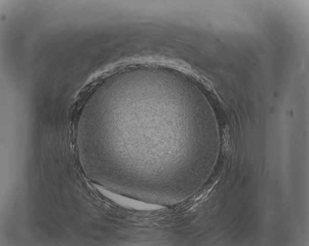 X0000082721494200702091759