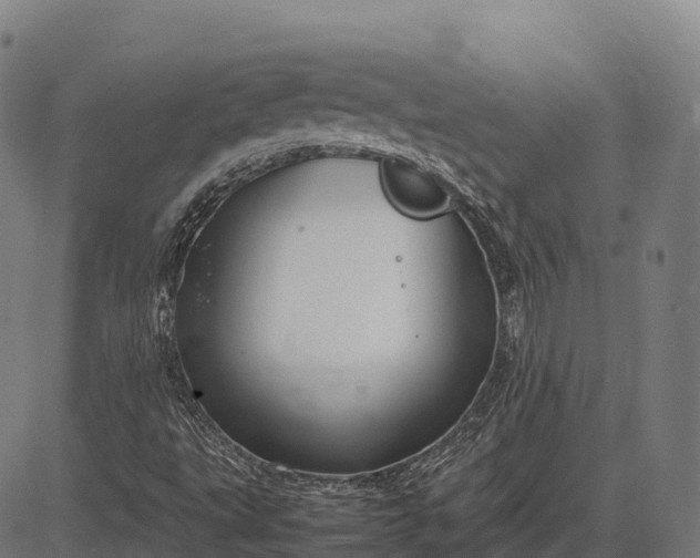 X0000082721495200702091759