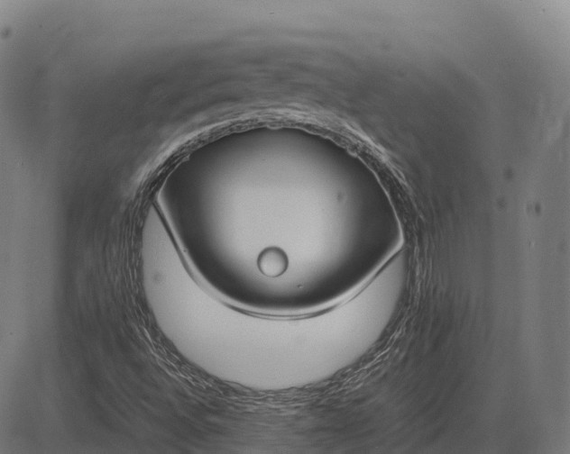 X0000082721496200702091759