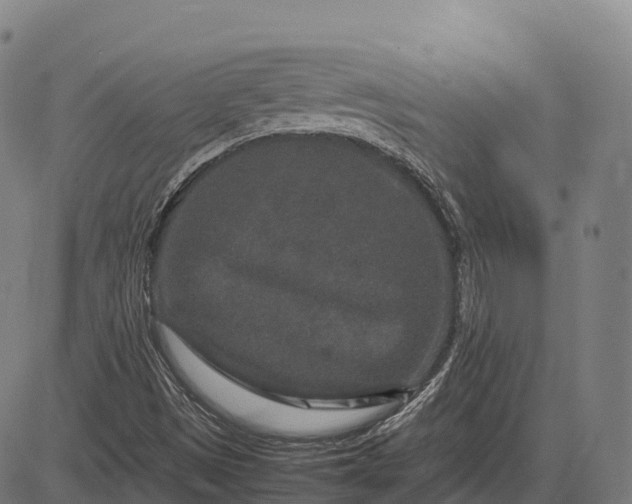 X0000082721497200702091759