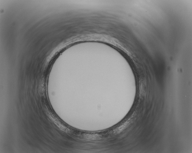 X0000082721498200702091759