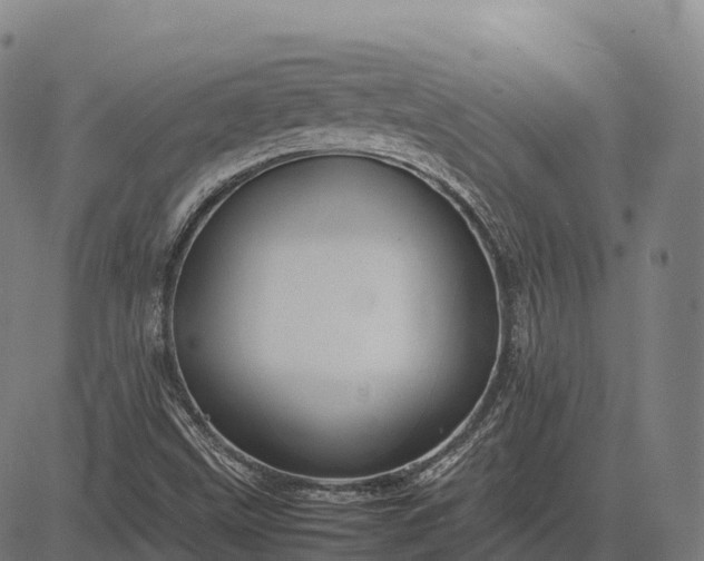 X0000082721499200702091759