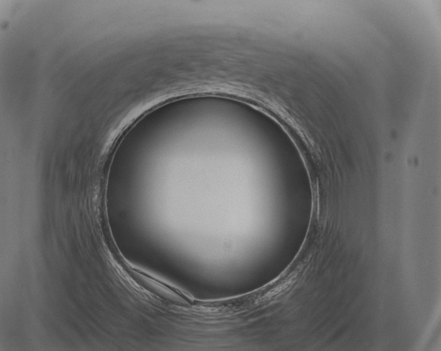 X0000082721500200702091759