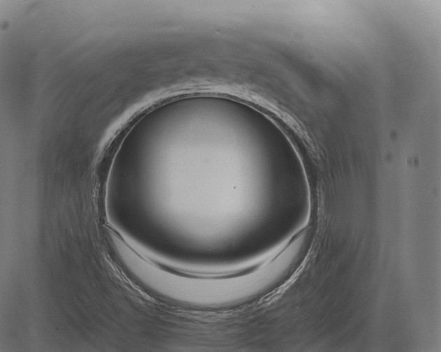 X0000082721502200702091759