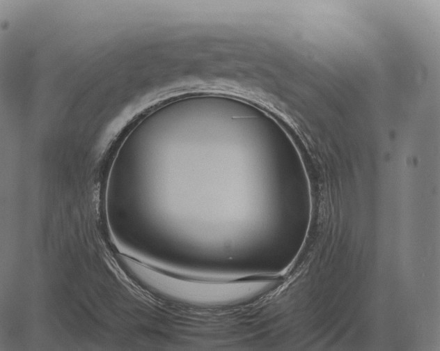 X0000082721503200702091759